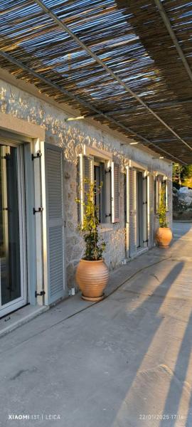 The Olive Yard Corfu